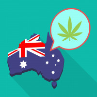 Итоги года после легализации марихуаны в столице Австралии